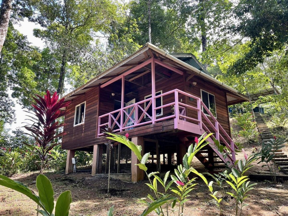 Akwaba Lodge The Gap Kültér fotó