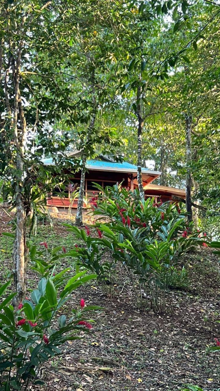 Akwaba Lodge The Gap Szoba fotó